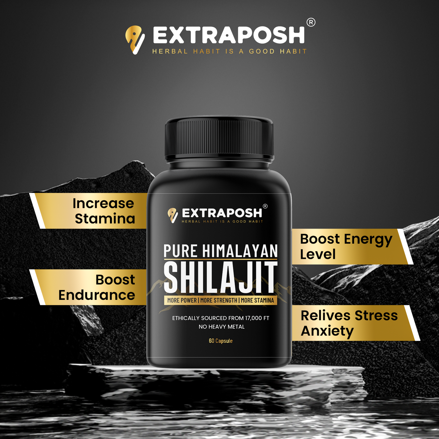 Shilajit Resin + Capsule Combo