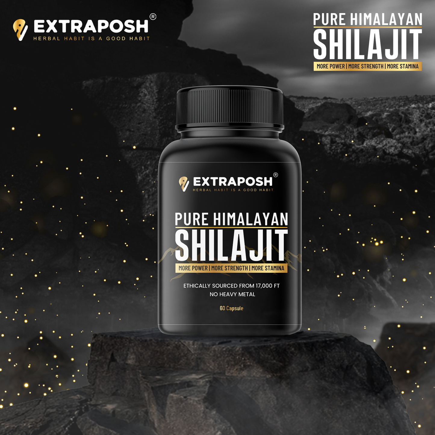Shilajit Resin + Capsule Combo