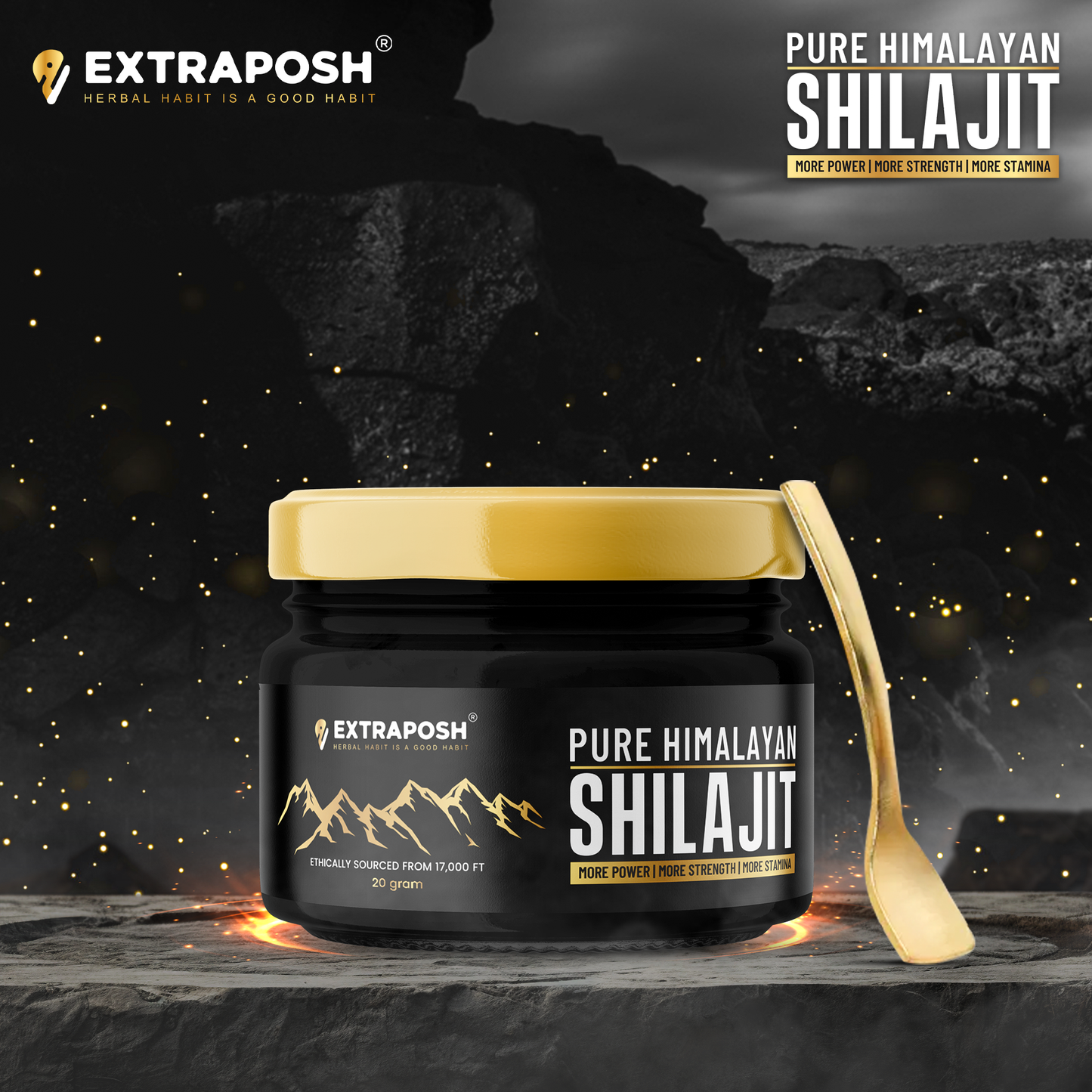 Shilajit Resin + Capsule Combo