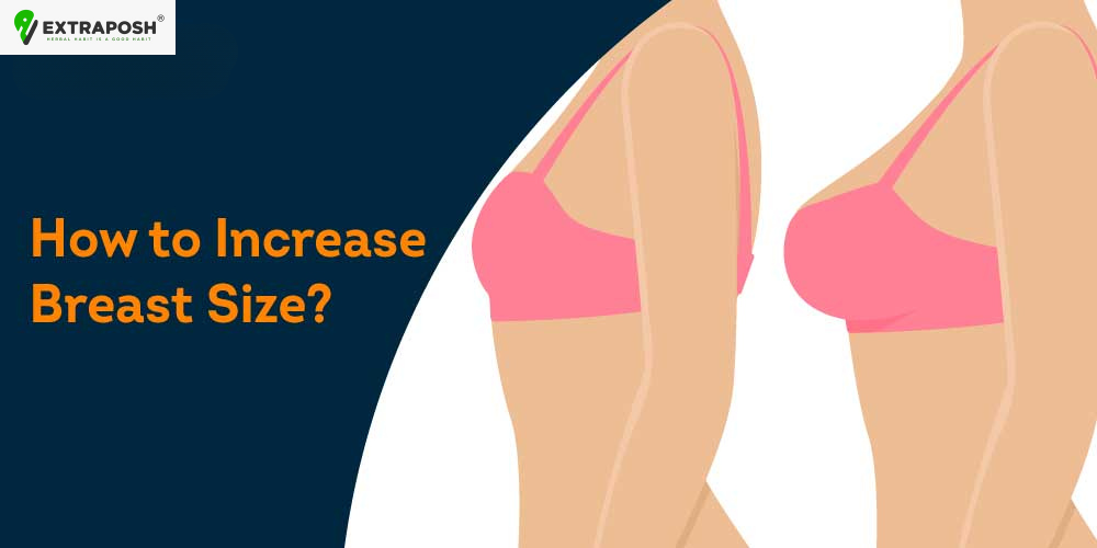 How To Increase Breast Size?
