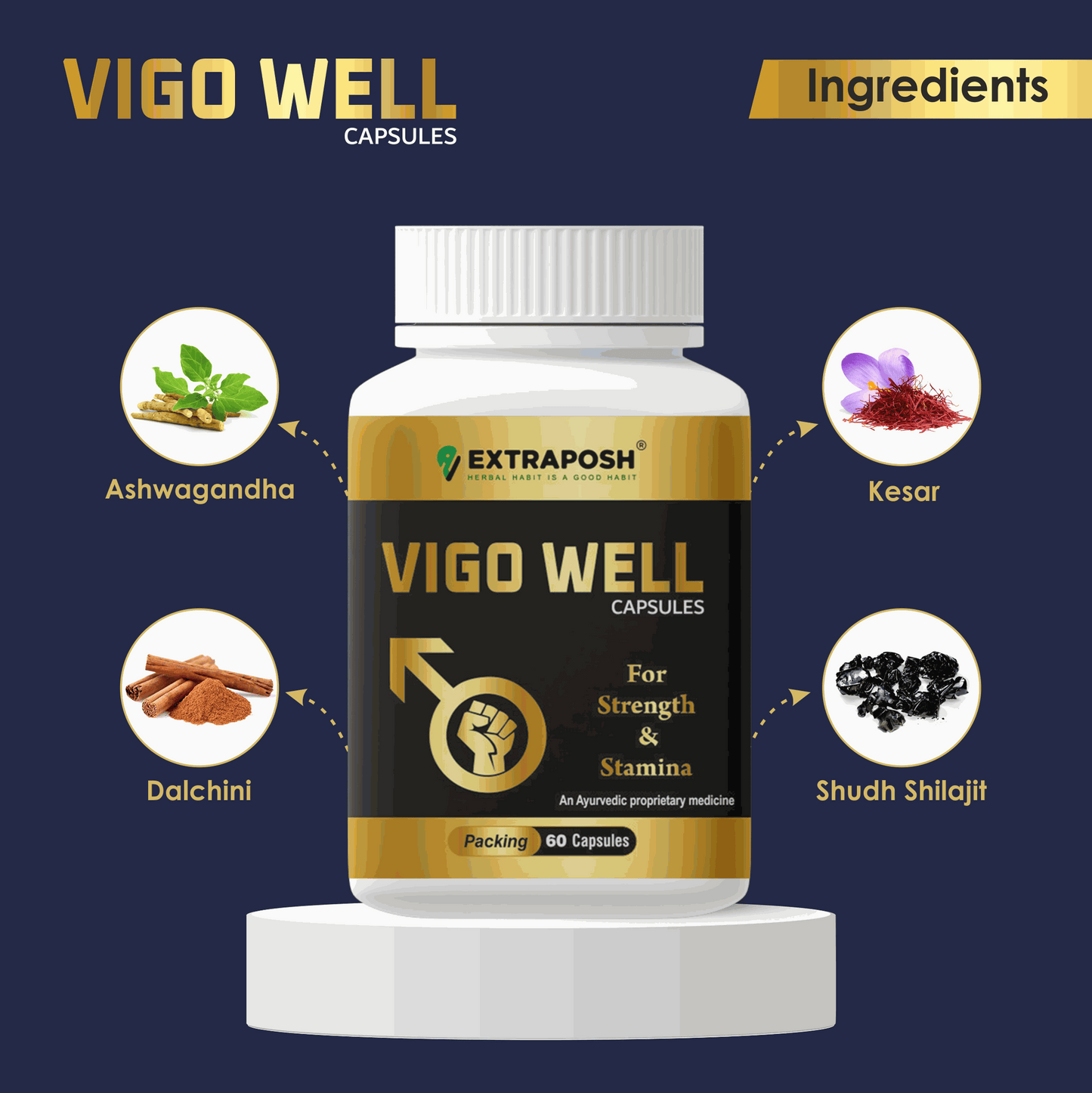 VIGO Well Capsules Made by Natural Ingredients like Ashwagandha Kesar Dalchini Shudh Shilajit Extract