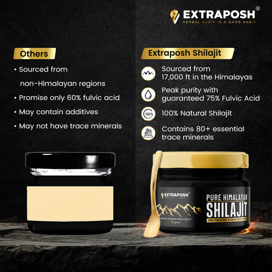 Shilajit Resin