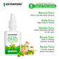 Organic Tulsi Ark Immunity Booster for a Healthy Lifestyle
